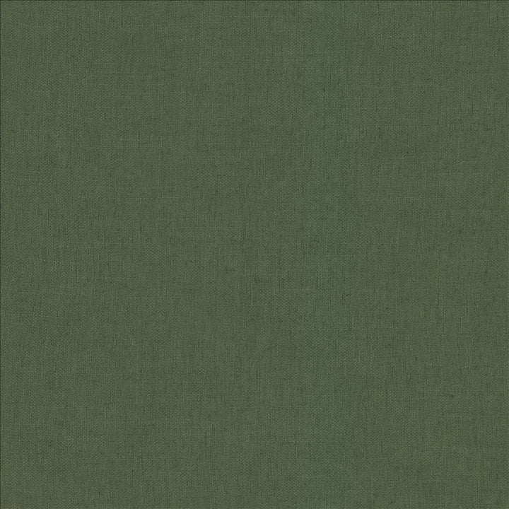 Casual Chic Pine  by Kasmir Fabric 5188 36% Polyester 26% Cotton 22% Viscose 16% Linen  CHINA  </p><p>Repeat: Horizontal: N/A and Vertical:  0 inches 56  - Fabric Carolina -