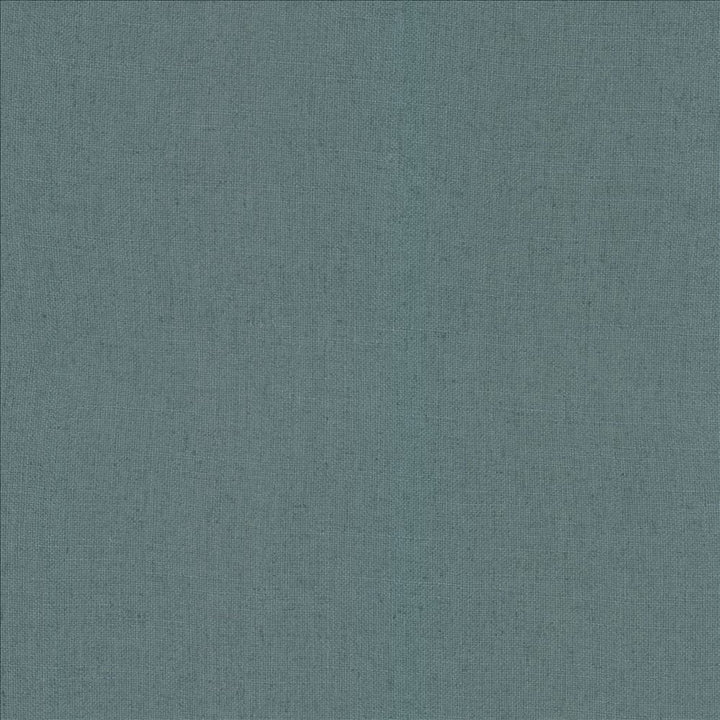 Casual Chic Seaspray  by Kasmir Fabric 5188 36% Polyester 26% Cotton 22% Viscose 16% Linen  CHINA  </p><p>Repeat: Horizontal: N/A and Vertical:  0 inches 56  - Fabric Carolina -