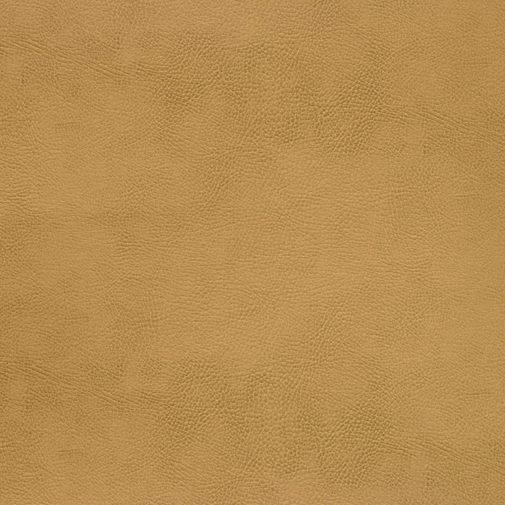 Kravet Design Caswell-4 by Kravet Design Fabric