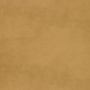 Kravet Design Caswell-4 by Kravet Design Fabric