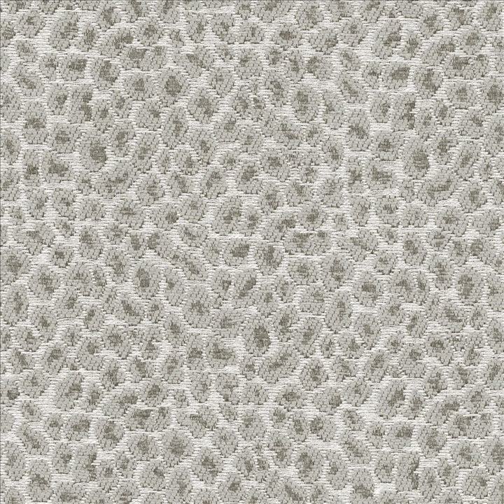 Catnip Grey  by Kasmir Fabric See sample 52% Rayon
26% Polyester
22% Cotton
 CHINA 15,000 Wyzenbeek Double Rubs </p><p>Repeat: Horizontal: 7 2/8 inches and Vertical: 7 inches 54  - Fabric Carolina -