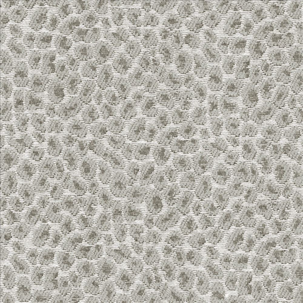 Catnip Grey by Kasmir Fabric 5113 52% Rayon
26% Polyester
22% Cotton
 CHINA </p><p>Repeat: Horizontal: 7 2/8 inches and Vertical: 7 inches 54 - 56 - Fabric Carolina -