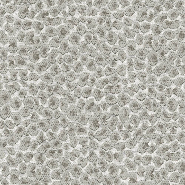 Catnip Grey by Kasmir Fabric 5113 52% Rayon
26% Polyester
22% Cotton
 CHINA </p><p>Repeat: Horizontal: 7 2/8 inches and Vertical: 7 inches 54 - 56 - Fabric Carolina -