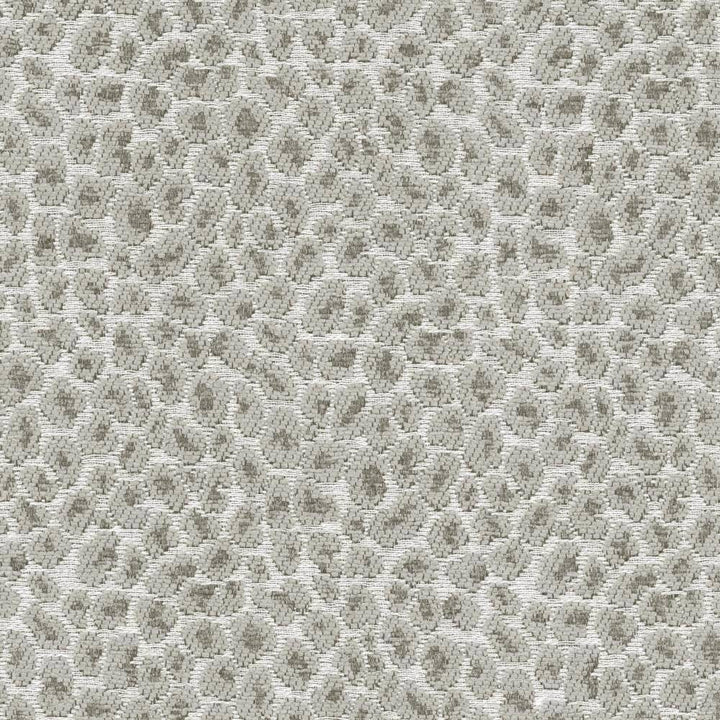 Catnip Grey by Kasmir Fabric 5113 52% Rayon 26% Polyester 22% Cotton CHINA 15,000 Wyzenbeek Double Rubs H: 7 2/8 inches, V:7 inches 54 - 56 - Fabric Carolina - Kasmir