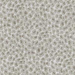 Catnip Grey by Kasmir Fabric