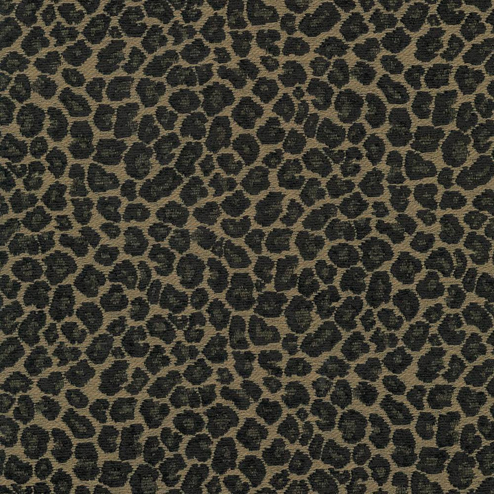 Catnip Taupe by Kasmir Fabric 5068 52% Rayon
26% Polyester
22% Cotton
 CHINA </p><p>Repeat: Horizontal: 7 2/8 inches and Vertical: 7 inches 54 - 56 - Fabric Carolina -