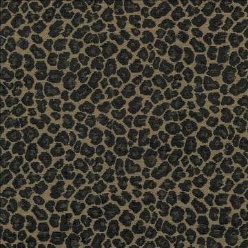 Catnip Taupe by Kasmir Fabric 5068 52% Rayon 26% Polyester 22% Cotton CHINA 15,000 Wyzenbeek Double Rubs H: 7 2/8 inches, V: 7 inches 54 - 56 - Fabric Carolina - Kasmir