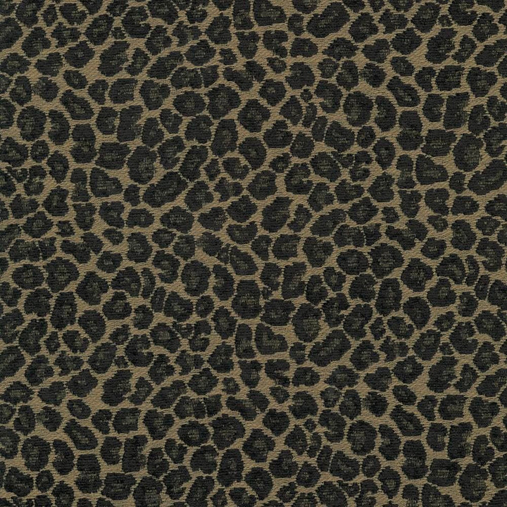 Catnip Taupe by Kasmir Fabric 5068 52% Rayon
26% Polyester
22% Cotton
 CHINA </p><p>Repeat: Horizontal: 7 2/8 inches and Vertical: 7 inches 54 - 56 - Fabric Carolina -