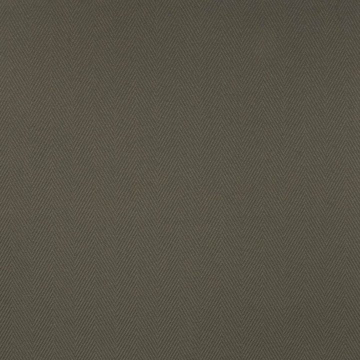Cavallis Graphite by Kasmir Fabric 5101 65% Cotton
35% Polyester
 CHINA </p><p>Repeat: Horizontal: 2 inches and Vertical: 3/8 inches 57 - Fabric Carolina -