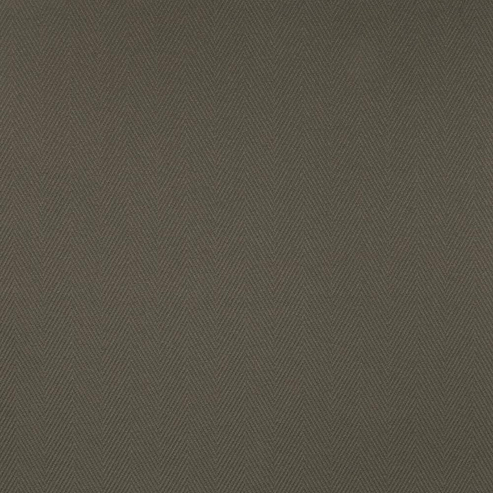 Cavallis Graphite by Kasmir Fabric 5101 65% Cotton 35% Polyester CHINA 51,000 Wyzenbeek Double Rubs H: 2 inches, V:3/8 inches 57 - Fabric Carolina - Kasmir