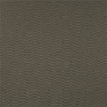 Cavallis Graphite by Kasmir Fabric 5101 65% Cotton 35% Polyester CHINA 51,000 Wyzenbeek Double Rubs H: 2 inches, V: 3/8 inches 57 - Fabric Carolina - Kasmir