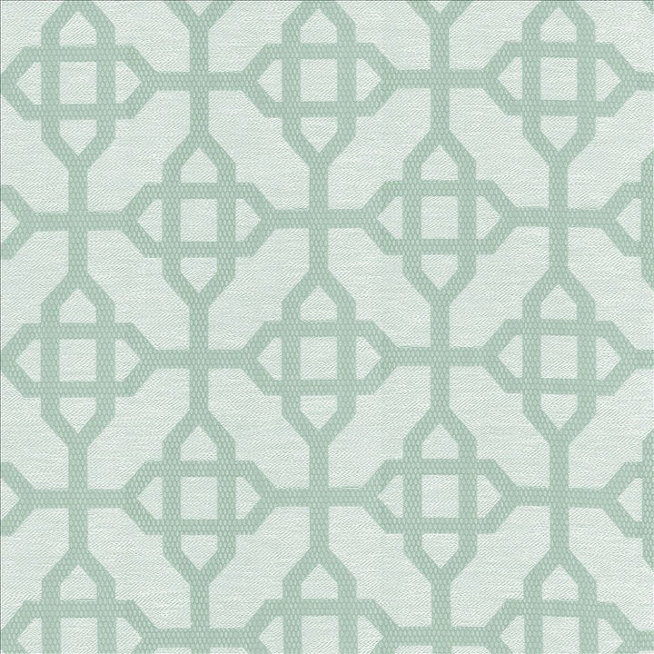 Cavetto Aqua by Kasmir Fabric 5114 66% Polyester
34% Cotton
 INDIA </p><p>Repeat: Horizontal: 6 6/8 inches and Vertical: 7 inches 54 - Fabric Carolina -