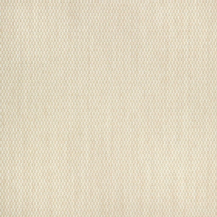 40421-0002 Pique Flax by Sunbrella Fabric Sunbrella Fusion Sunbrella® Acrylic, Sunbrella® Polyester USA or Imported 5-Year Horizontal: Yes and Vertical: 60 yd. 54 in. - Fabric Carolina -