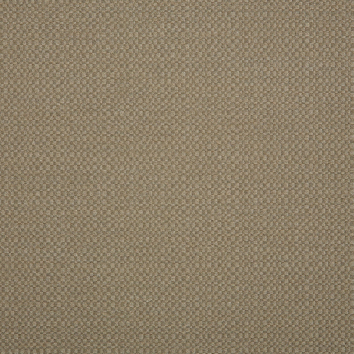 44285-0003 Action Taupe by Sunbrella Fabric Sunbrella Elements - Decorative Sunbrella® Acrylic, Sunbrella® Polyester, Sunbrella® Non-Phthalate PVC USA or Imported 5-Year Horizontal: 60 yd. and Vertical: 2.9 in. 54 in. - Fabric Carolina -