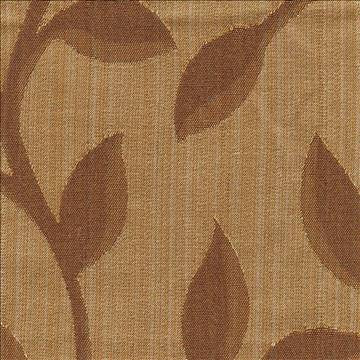 Ceadro Maple by Kasmir Fabric 1403 64% Polyester 36% Cotton INDIA Not Tested H: 12 3/8 inches, V: 12 7/8 inches 54 - 55 - Fabric Carolina - Kasmir