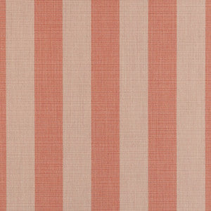 Expressive Blush 14123-0000 by Sunbrella Fabric