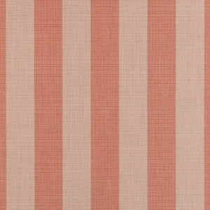 Expressive Blush 14123-0000 by Sunbrella Fabric