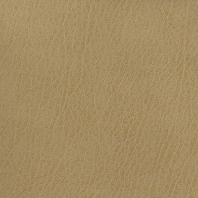 Kravet Basics Celine-106 by Kravet Basics Fabric