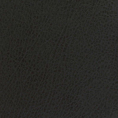 Kravet Basics Celine-21 by Kravet Basics Fabric