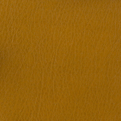 Kravet Basics Celine-414 by Kravet Basics Fabric