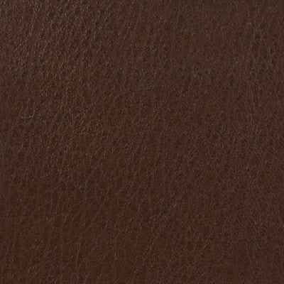 Kravet Basics Celine-616 by Kravet Basics Fabric