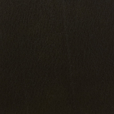 Kravet Basics Celine-66 by Kravet Basics Fabric