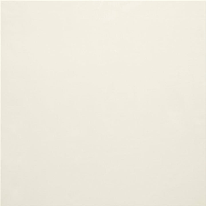 Celine Bone by Kasmir Fabric 5157 100% Polyester
 TURKEY Not Tested </p><p>Repeat: Horizontal: N/A and Vertical: N/A 118 - Fabric Carolina -