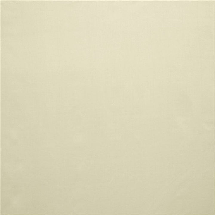 Celine Bone by Kasmir Fabric 5157 100% Polyester TURKEY Not Tested Horizontal: 0 Inches and Vertical: 0 Inches 118 - Fabric Carolina -