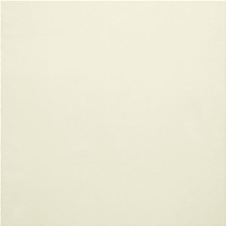 Celine Bone by Kasmir Fabric 5157 100% Polyester
 TURKEY </p><p>Repeat: Horizontal: N/A and Vertical: N/A 118 - Fabric Carolina -