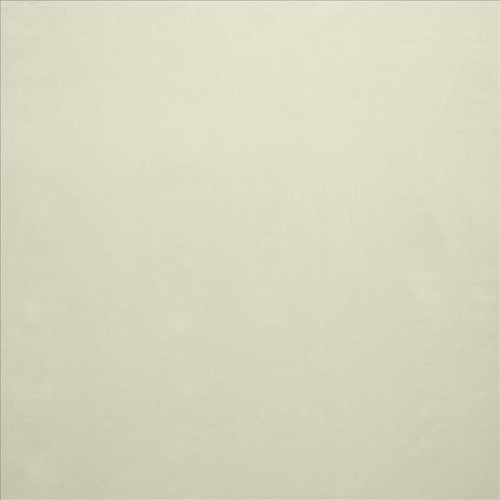 Celine Eggshell by Kasmir Fabric 5157 100% Polyester TURKEY Not Tested Horizontal: 0 Inches and Vertical: 0 Inches 118 - Fabric Carolina -
