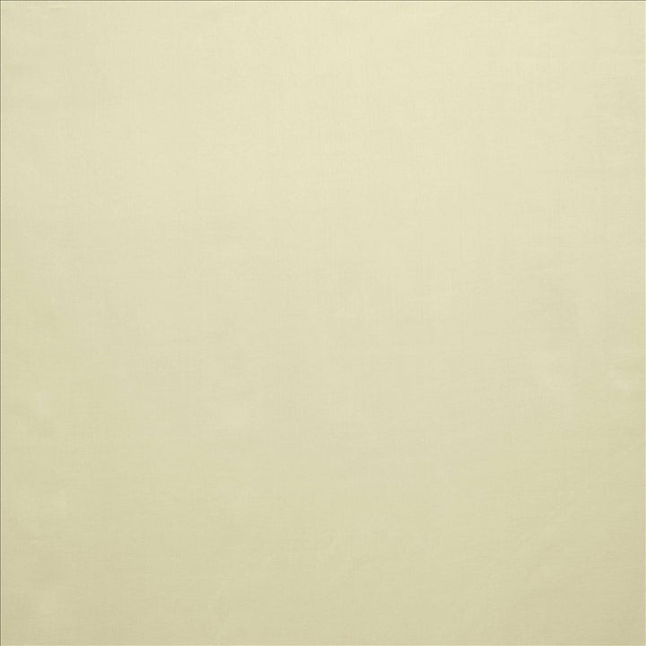 Celine Marble by Kasmir Fabric 5157 100% Polyester TURKEY Not Tested Horizontal: 0 Inches and Vertical: 0 Inches 118 - Fabric Carolina -