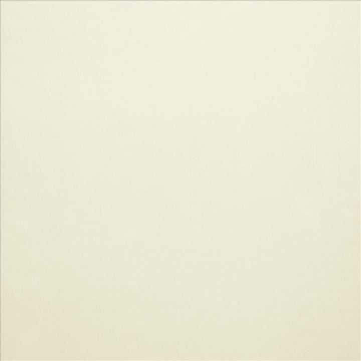 Celine Oyster by Kasmir Fabric 5157 100% Polyester
 TURKEY </p><p>Repeat: Horizontal: N/A and Vertical: N/A 118 - Fabric Carolina -