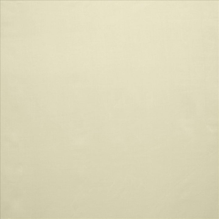 Celine Prosecco by Kasmir Fabric 5157 100% Polyester TURKEY Not Tested Horizontal: 0 Inches and Vertical: 0 Inches 118 - Fabric Carolina -