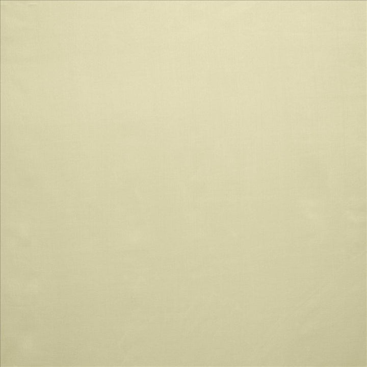 Celine Sand by Kasmir Fabric 5157 100% Polyester TURKEY Not Tested Horizontal: 0 Inches and Vertical: 0 Inches 118 - Fabric Carolina -