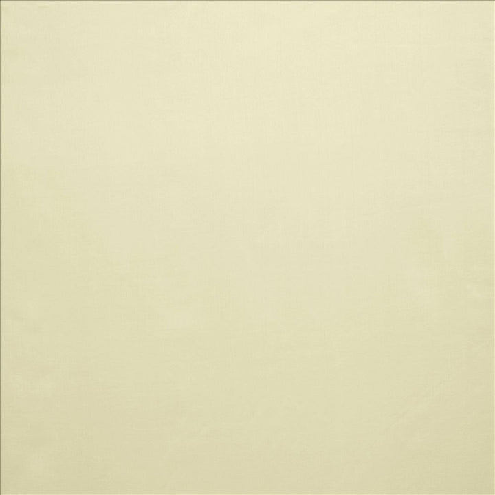 Celine Sand by Kasmir Fabric 5157 100% Polyester
 TURKEY Not Tested Horizontal: N/A and Vertical: N/A 118 - Fabric Carolina -
