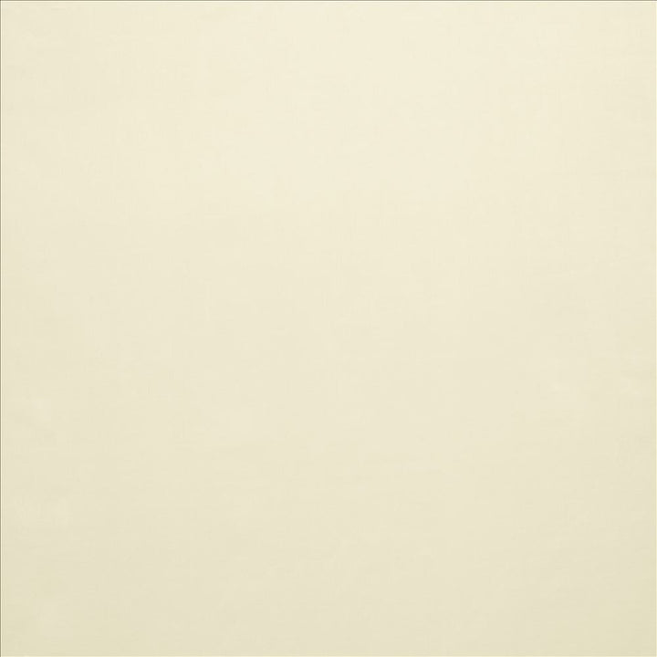Celine Sand by Kasmir Fabric 5157 100% Polyester
 TURKEY </p><p>Repeat: Horizontal: N/A and Vertical: N/A 118 - Fabric Carolina -