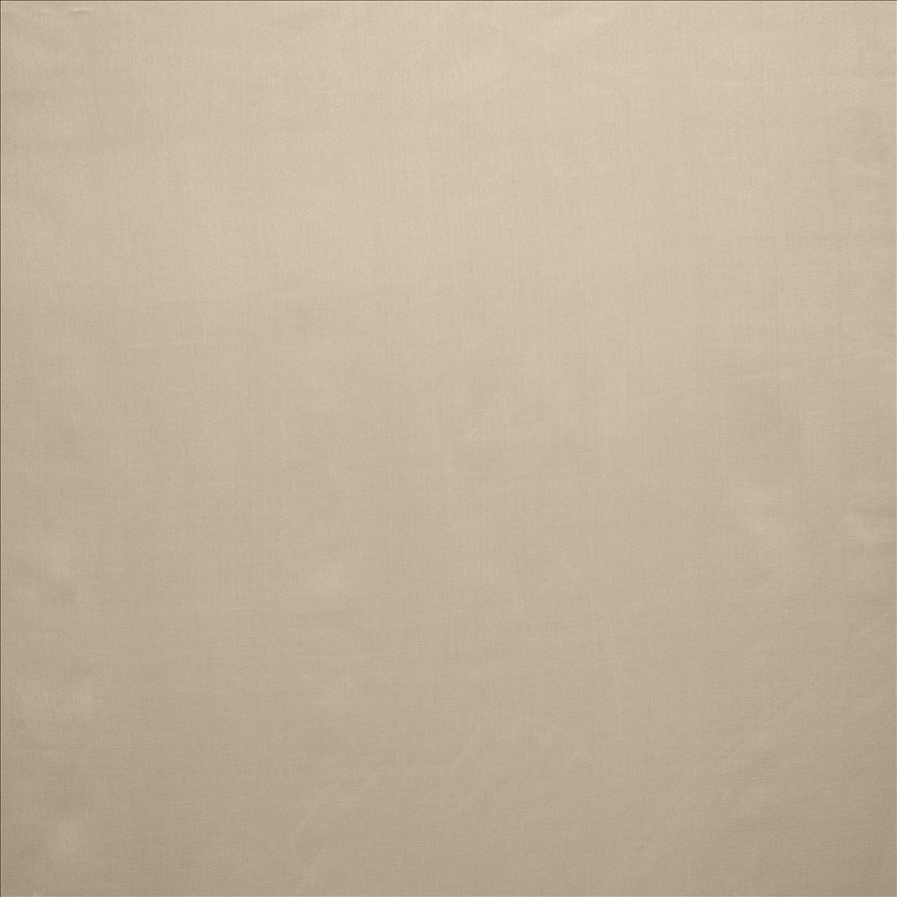 Celine Silver  by Kasmir Fabric See sample 100% Polyester
 TURKEY Not Tested </p><p>Repeat: Horizontal: N/A and Vertical: N/A 118  - Fabric Carolina -