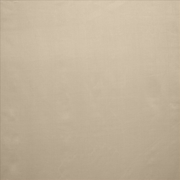Celine Silver  by Kasmir Fabric See sample 100% Polyester
 TURKEY Not Tested </p><p>Repeat: Horizontal: N/A and Vertical: N/A 118  - Fabric Carolina -