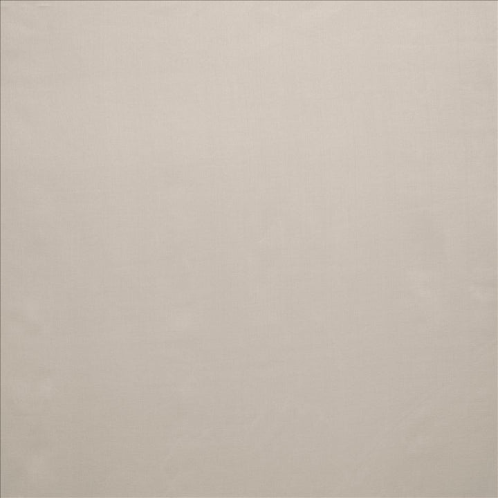 Celine Silver by Kasmir Fabric 5157 100% Polyester
 TURKEY </p><p>Repeat: Horizontal: N/A and Vertical: N/A 118 - Fabric Carolina -
