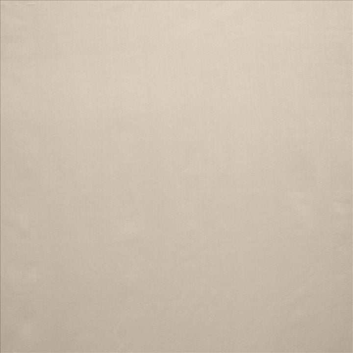 Celine Silver by Kasmir Fabric 5157 100% Polyester
 TURKEY </p><p>Repeat: Horizontal: N/A and Vertical: N/A 118 - Fabric Carolina -