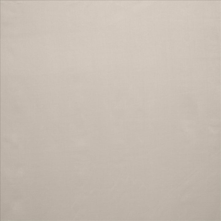 Celine Silver by Kasmir Fabric 5157 100% Polyester
 TURKEY Not Tested </p><p>Repeat: Horizontal: N/A and Vertical: N/A 118 - Fabric Carolina -