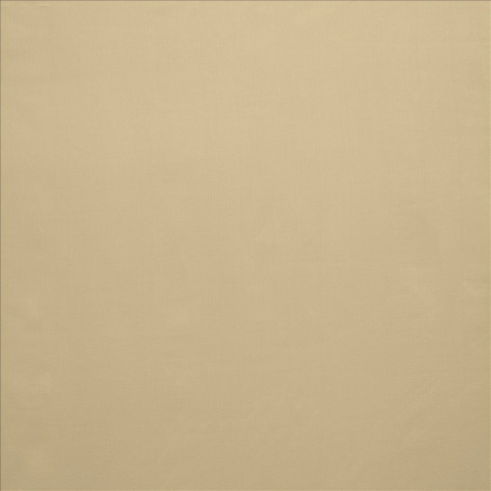 Celine Taupe by Kasmir Fabric 5157 100% Polyester
 TURKEY Not Tested </p><p>Repeat: Horizontal: N/A and Vertical: N/A 118 - Fabric Carolina -