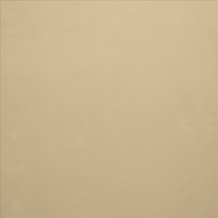 Celine Taupe by Kasmir Fabric 5157 100% Polyester
 TURKEY Not Tested </p><p>Repeat: Horizontal: N/A and Vertical: N/A 118 - Fabric Carolina -