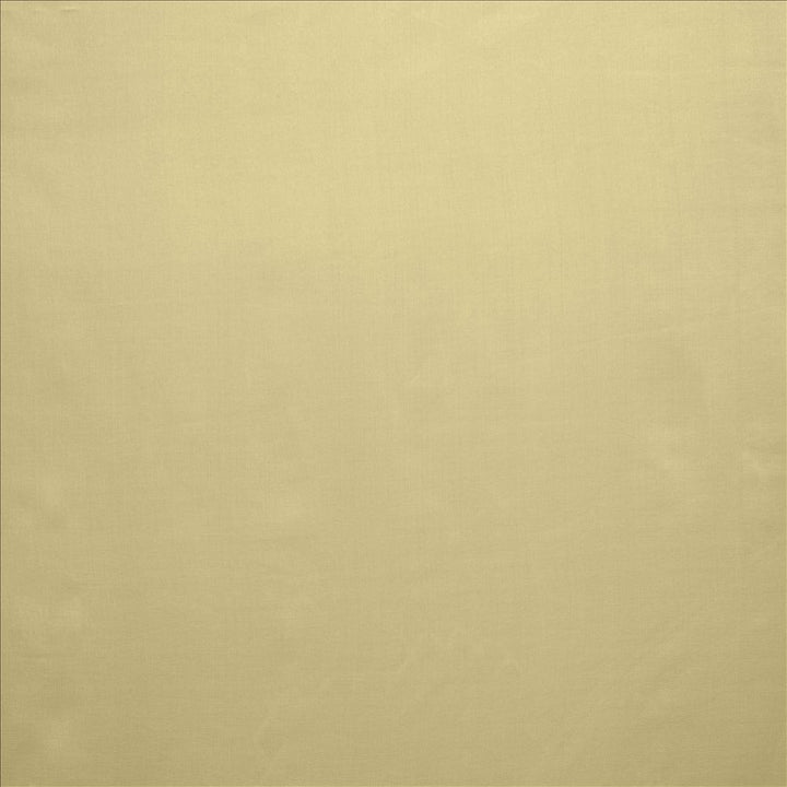 Celine Taupe by Kasmir Fabric 5157 100% Polyester
 TURKEY Not Tested Horizontal: N/A and Vertical: N/A 118 - Fabric Carolina -