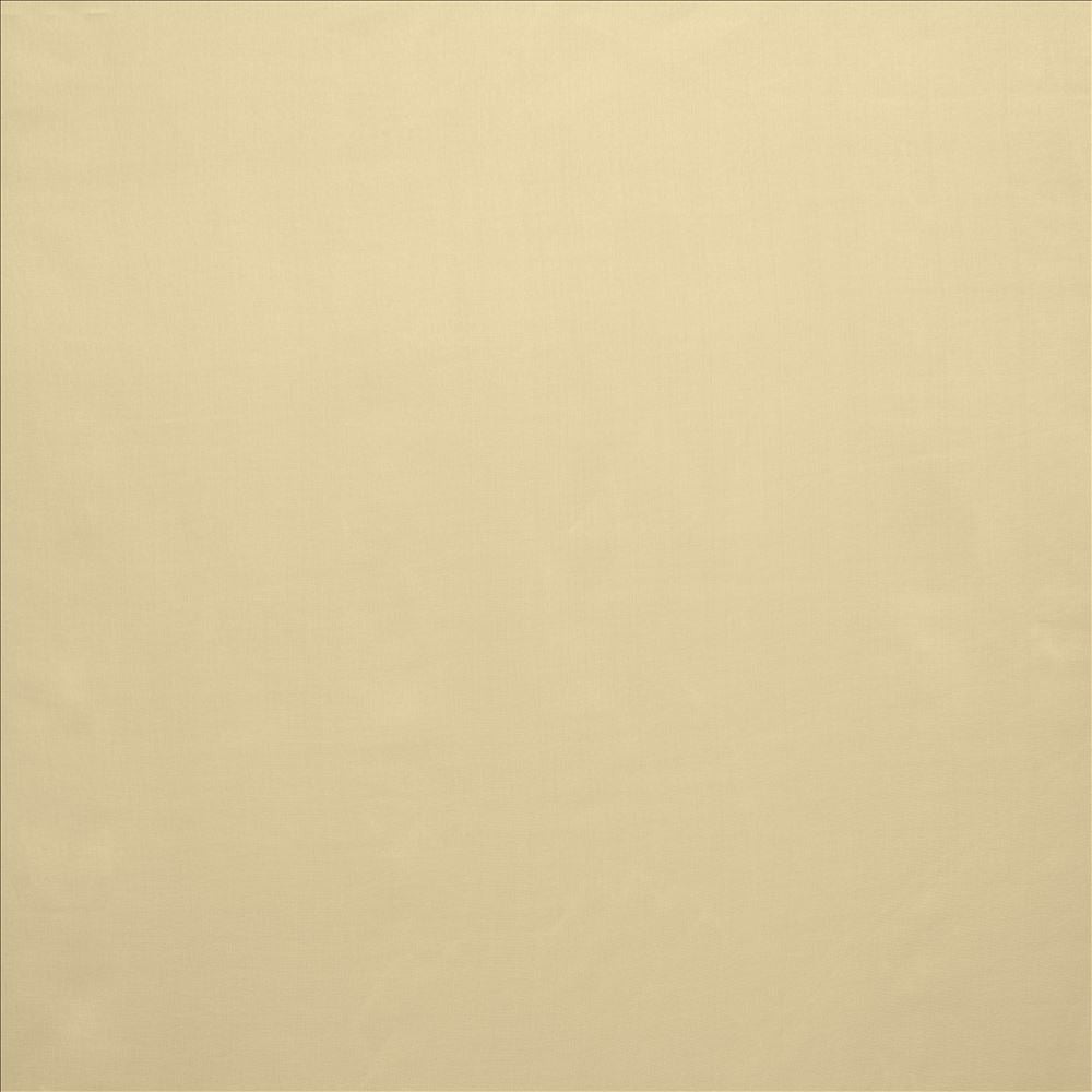 Celine Taupe by Kasmir Fabric 5157 100% Polyester
 TURKEY </p><p>Repeat: Horizontal: N/A and Vertical: N/A 118 - Fabric Carolina -