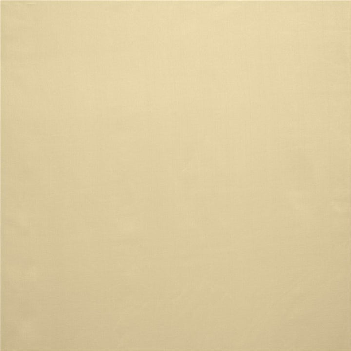 Celine Taupe by Kasmir Fabric 5157 100% Polyester
 TURKEY </p><p>Repeat: Horizontal: N/A and Vertical: N/A 118 - Fabric Carolina -