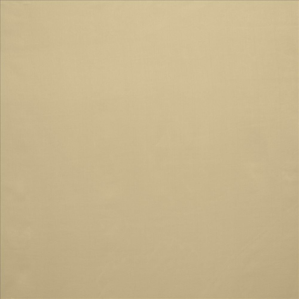 Celine Taupe by Kasmir Fabric 5157 100% Polyester
 TURKEY </p><p>Repeat: Horizontal: N/A and Vertical: N/A 118 - Fabric Carolina -