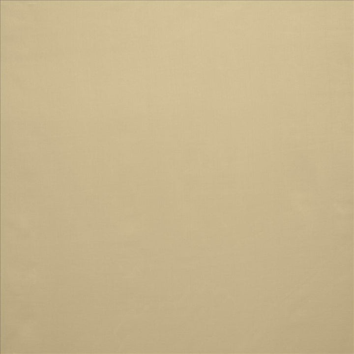 Celine Taupe by Kasmir Fabric 5157 100% Polyester
 TURKEY </p><p>Repeat: Horizontal: N/A and Vertical: N/A 118 - Fabric Carolina -