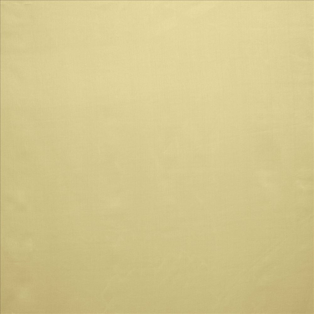 Celine Taupe by Kasmir Fabric 5157 100% Polyester TURKEY Not Tested Horizontal: 0 Inches and Vertical: 0 Inches 118 - Fabric Carolina -