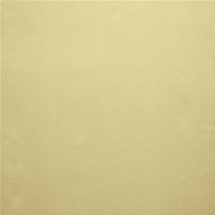 Celine Taupe by Kasmir Fabric 5157 100% Polyester TURKEY Not Tested Horizontal: 0 Inches and Vertical: 0 Inches 118 - Fabric Carolina -